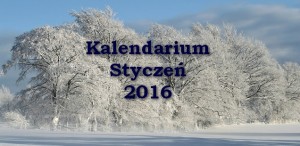 Kalendarium_styczeń_2016_kulturantki_okładka